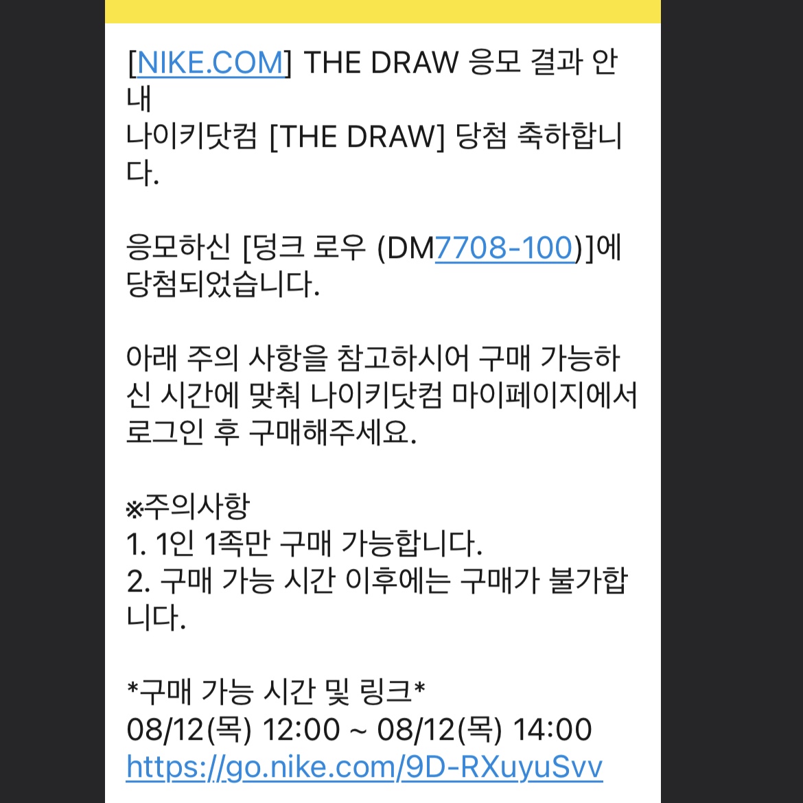 Nike Dunk Low SE Seoul 착용 스타일