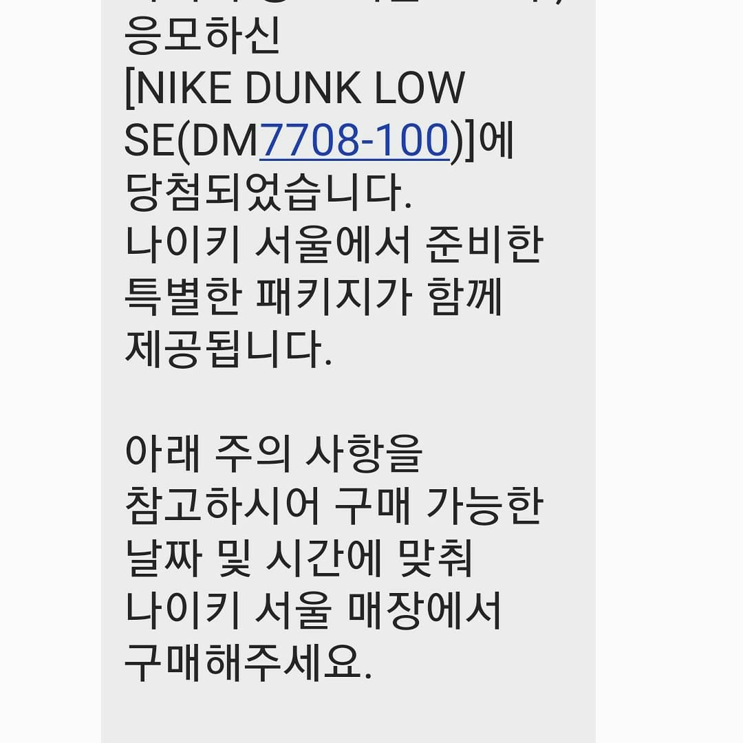 Nike Dunk Low SE Seoul, Nike Dunk Low SE Seoul (With Special Gift) 착용 스타일 - 5