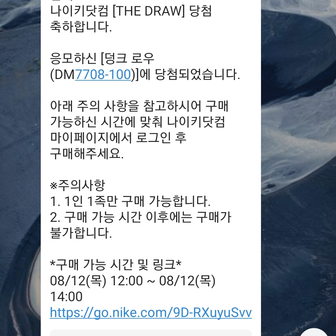 Nike Dunk Low SE Seoul, Nike Dunk Low SE Seoul (With Special Gift) 착용 스타일 - 4
