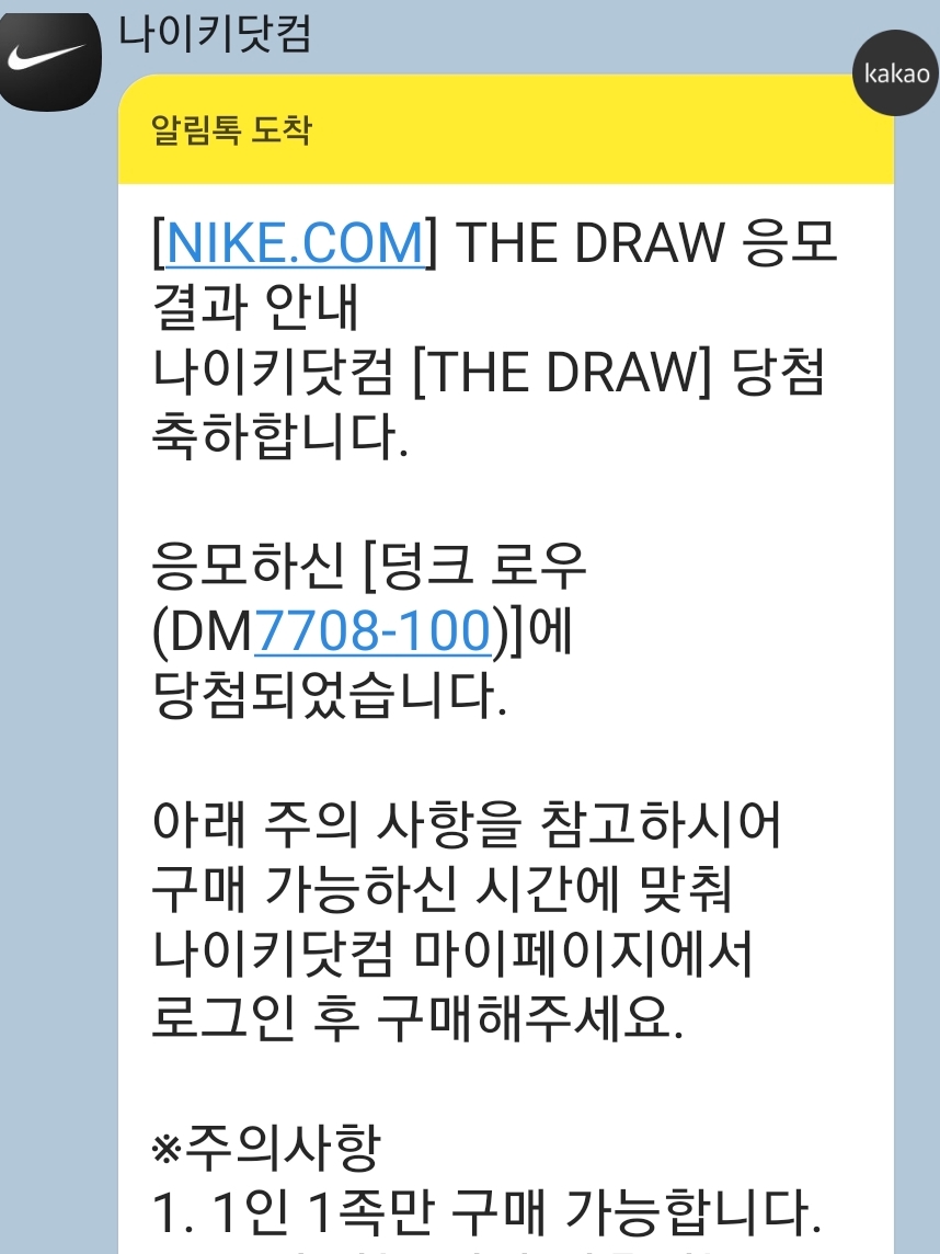 Nike Dunk Low SE Seoul 착용 스타일