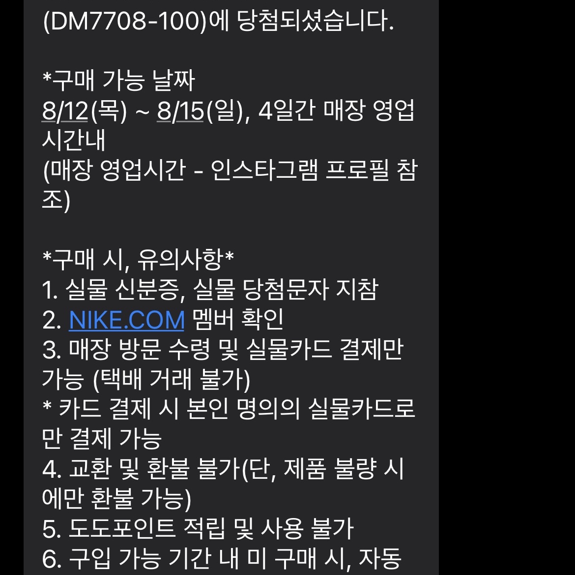 Nike Dunk Low SE Seoul 착용 스타일 - 2