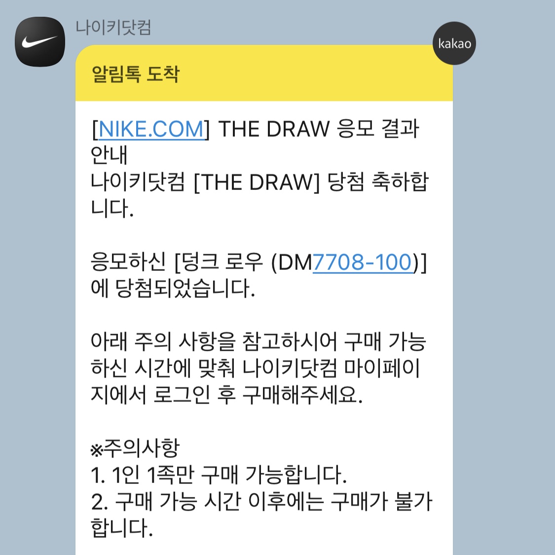 Nike Dunk Low SE Seoul 착용 스타일