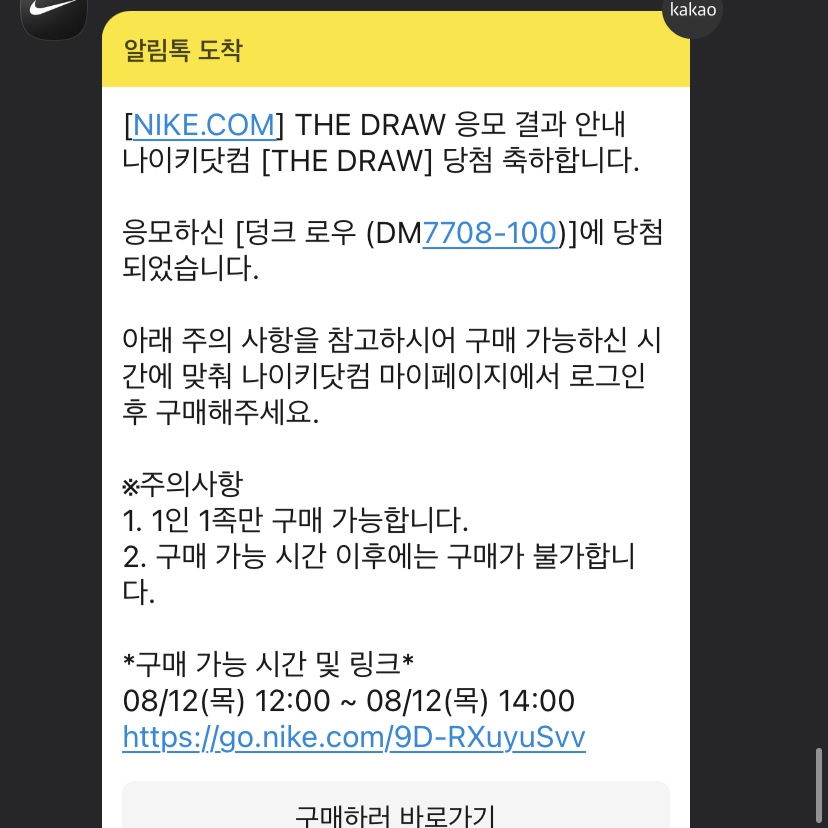 Nike Dunk Low SE Seoul 착용 스타일