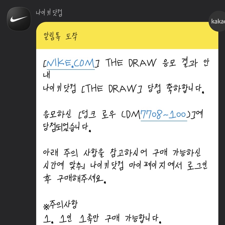 Nike Dunk Low SE Seoul 착용 스타일