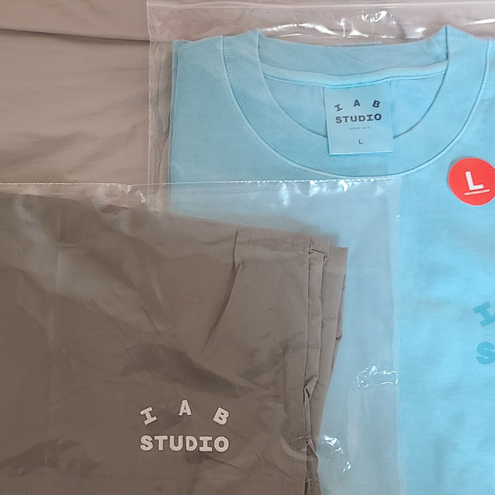 IAB Studio Woven Shorts Gray, IAB Studio Pigment T-Shirt Cyan 착용 스타일