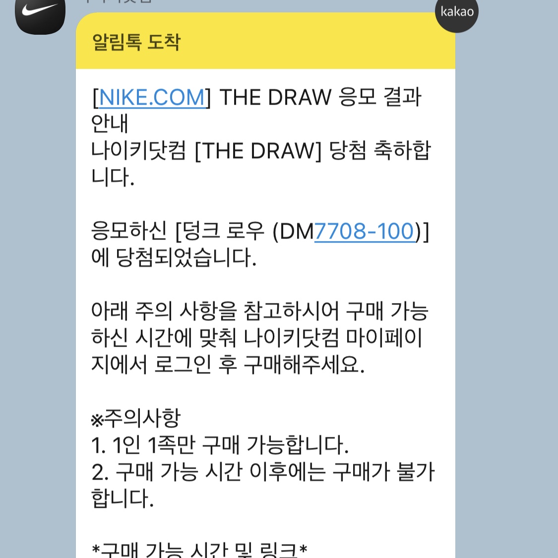 Nike Dunk Low SE Seoul 착용 스타일