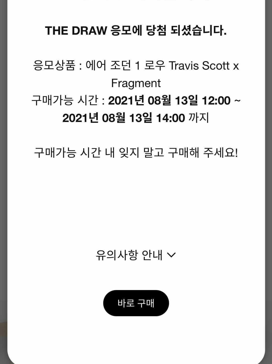 Jordan 1 x Travis Scott x Fragment Retro Low OG SP Military Blue 착용 스타일