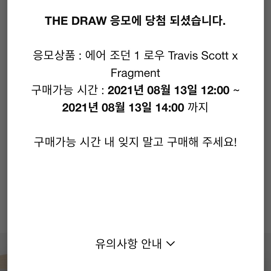 Jordan 1 x Travis Scott x Fragment Retro Low OG SP Military Blue 착용 스타일