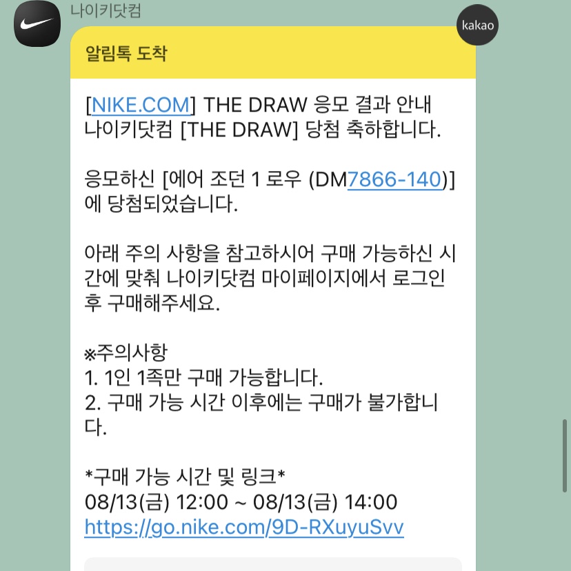 Jordan 1 x Travis Scott x Fragment Retro Low OG SP Military Blue 착용 스타일
