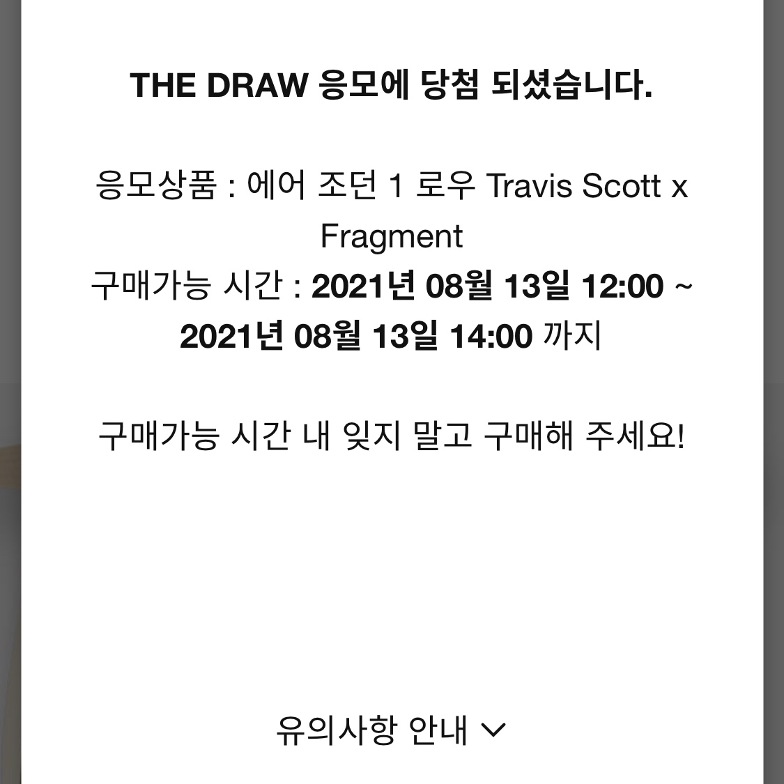 Jordan 1 x Travis Scott x Fragment Retro Low OG SP Military Blue 착용 스타일