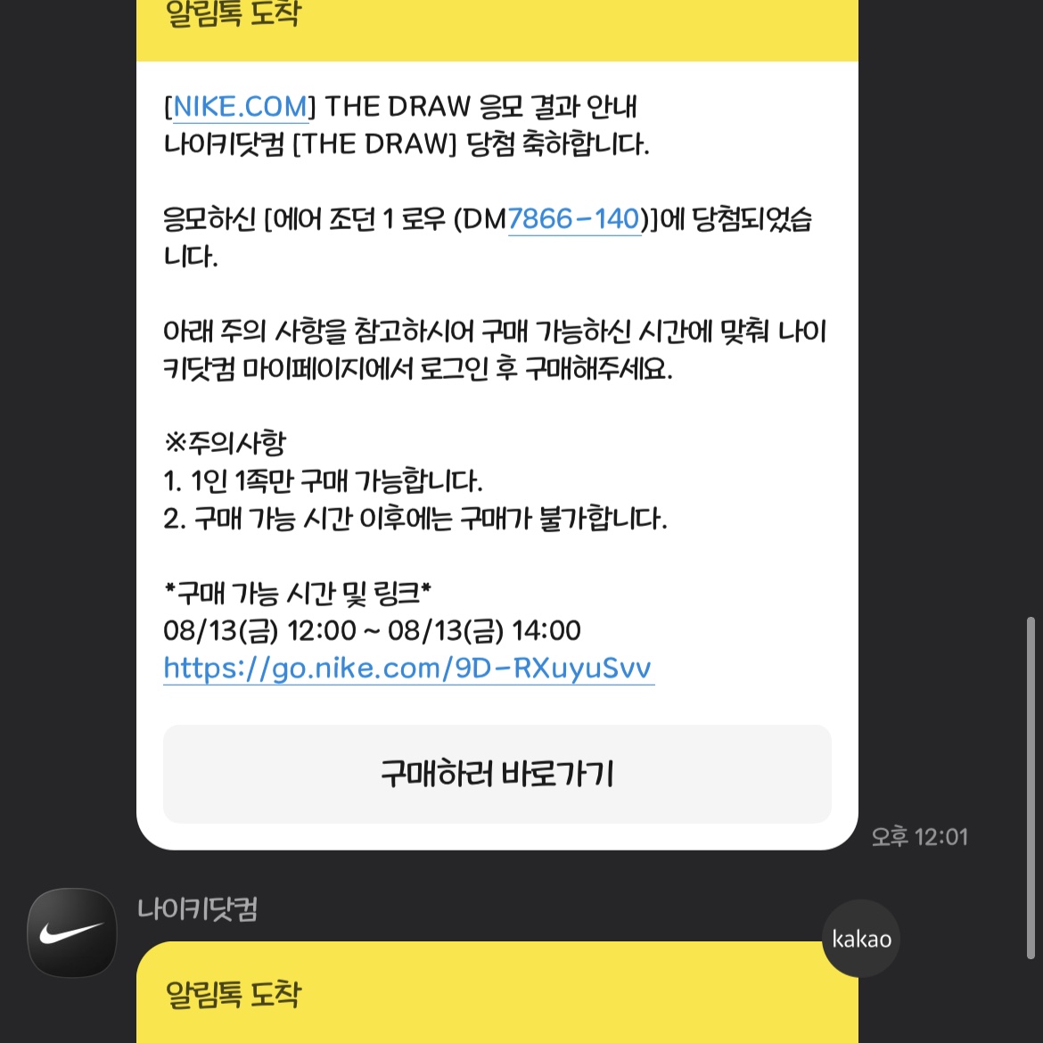 Jordan 1 x Travis Scott x Fragment Retro Low OG SP Military Blue 착용 스타일