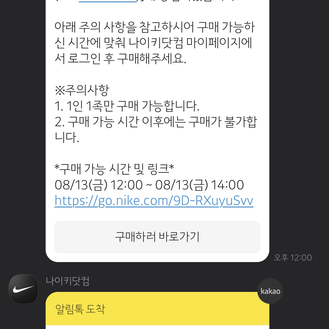 Jordan 1 x Travis Scott x Fragment Retro Low OG SP Military Blue 착용 스타일