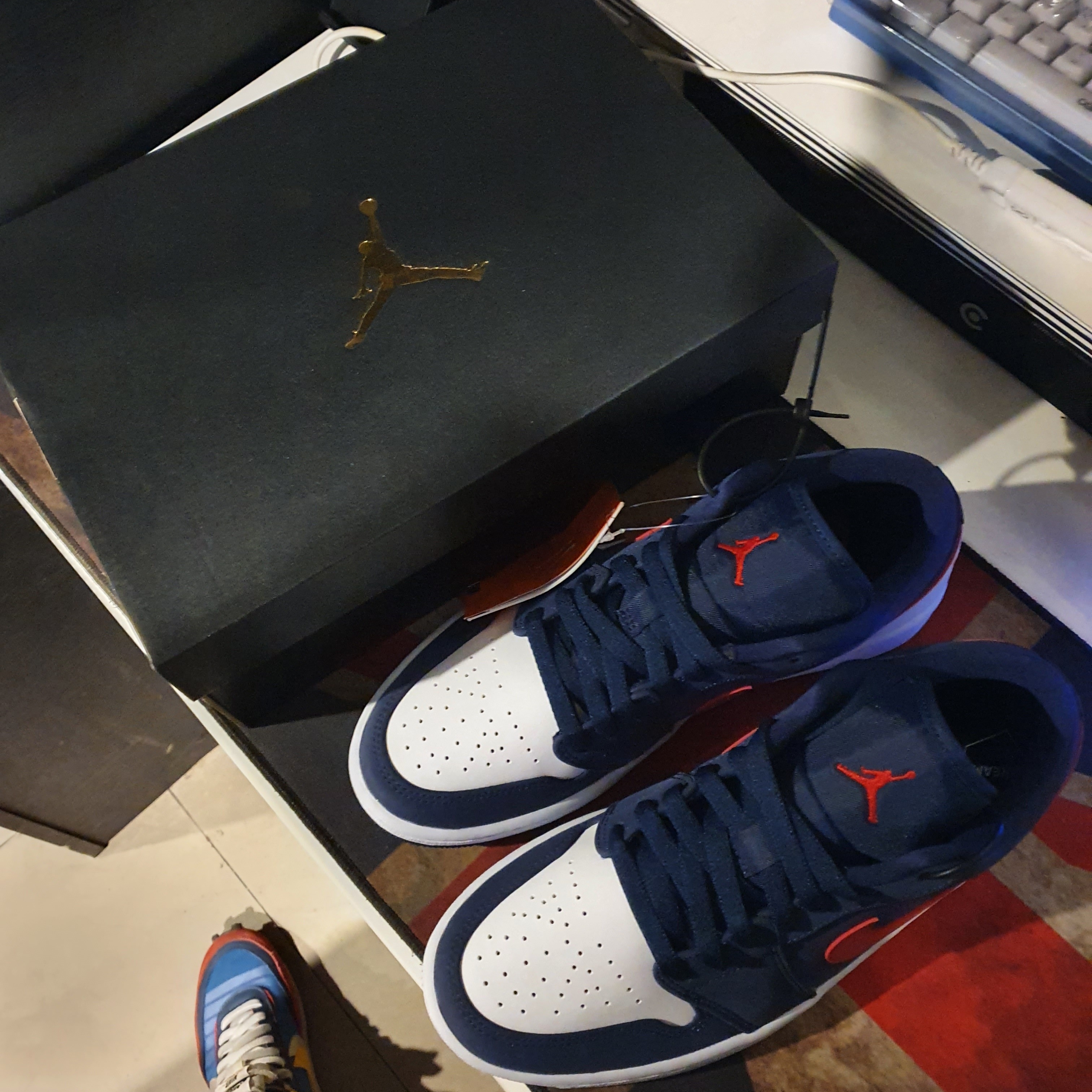 Jordan 1 Low SE USA 착용 스타일
