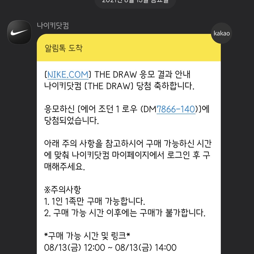 Jordan 1 x Travis Scott x Fragment Retro Low OG SP Military Blue 착용 스타일