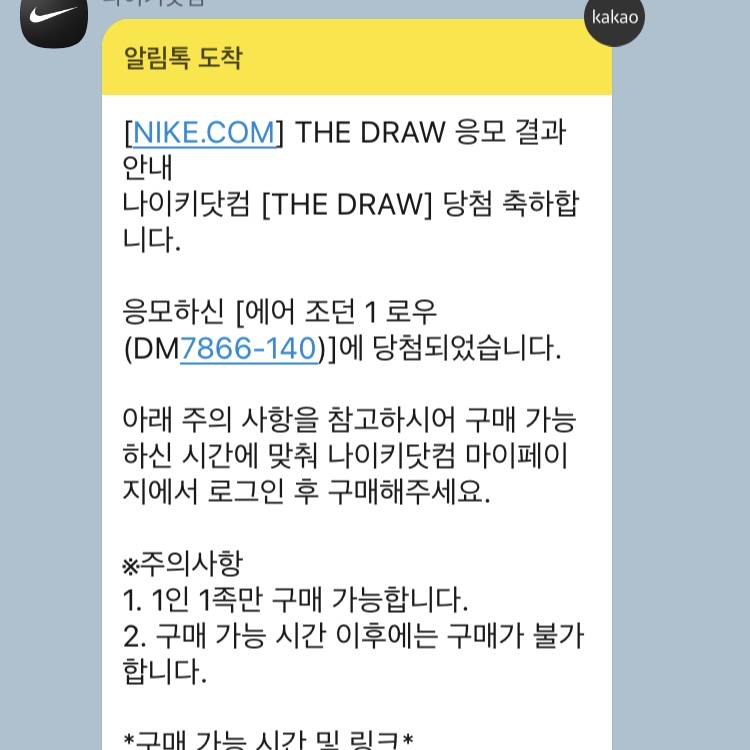 Jordan 1 x Travis Scott x Fragment Retro Low OG SP Military Blue 착용 스타일