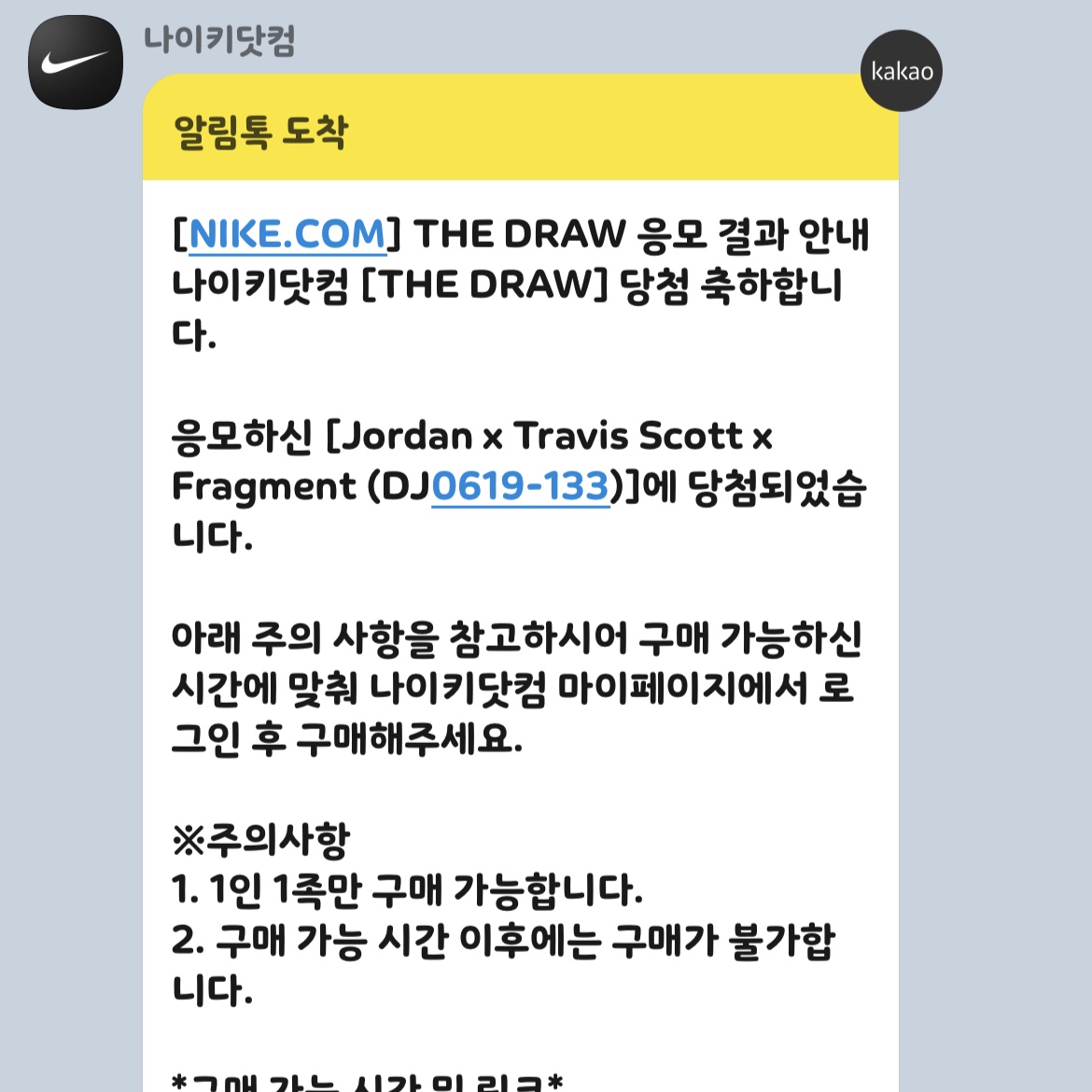 Jordan x Travis Scott x Fragment T-Shirt Sail (DJ0619-133) 착용 스타일