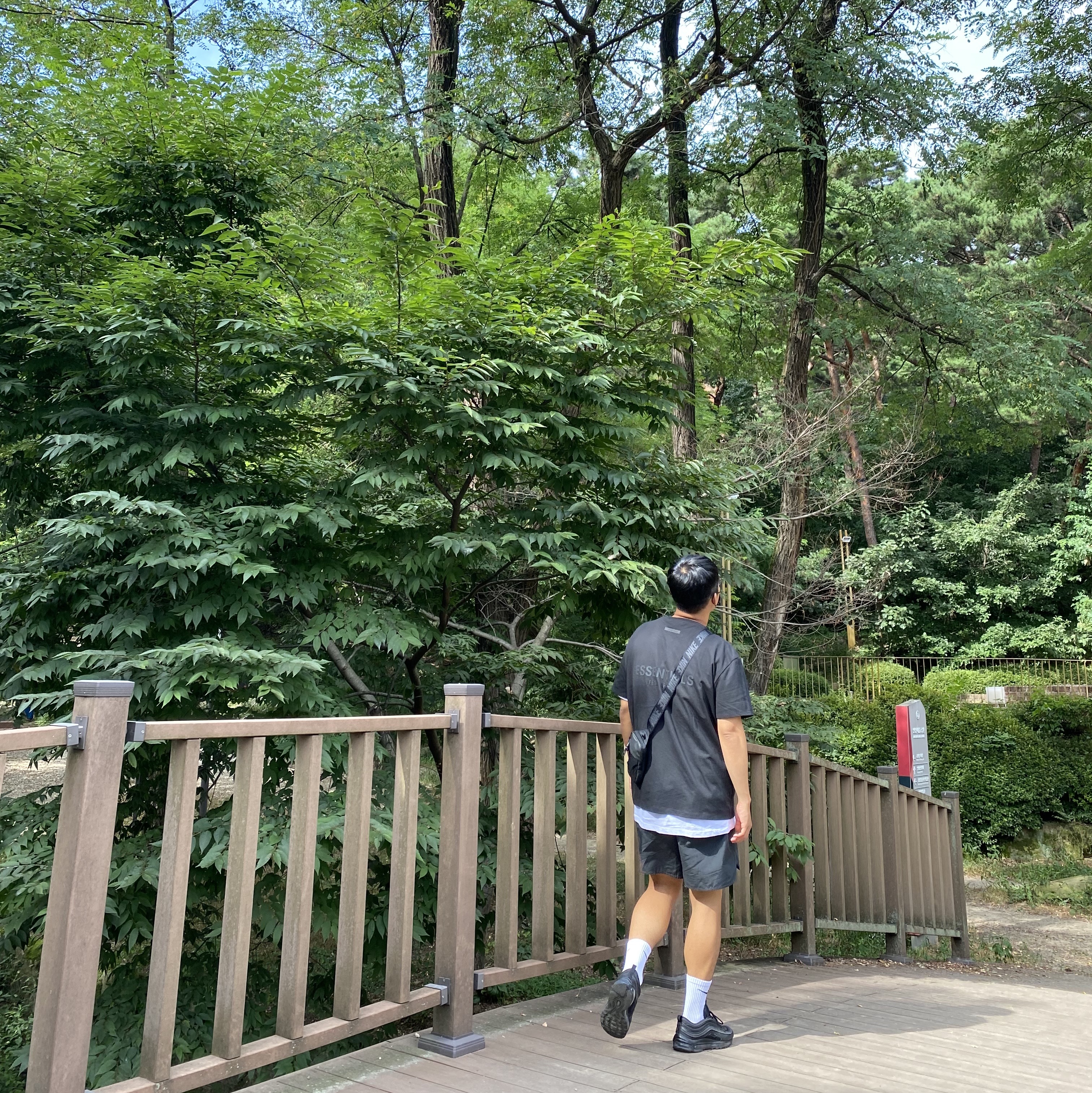 Essentials T-Shirt Black - 21SS, Essentials Volley Shorts Black - 21SS 착용 스타일