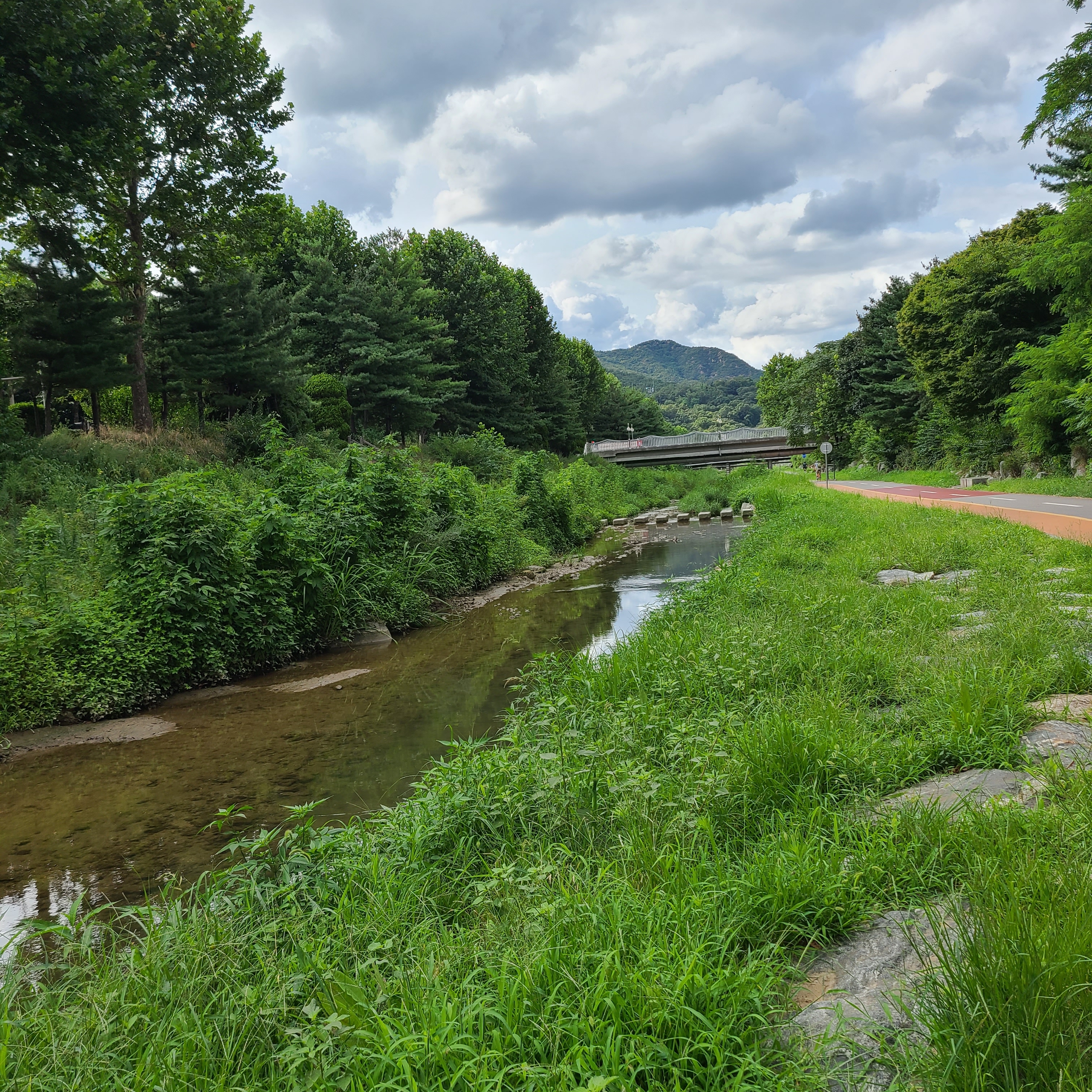 우리 동네 과천님의 스타일 - 5