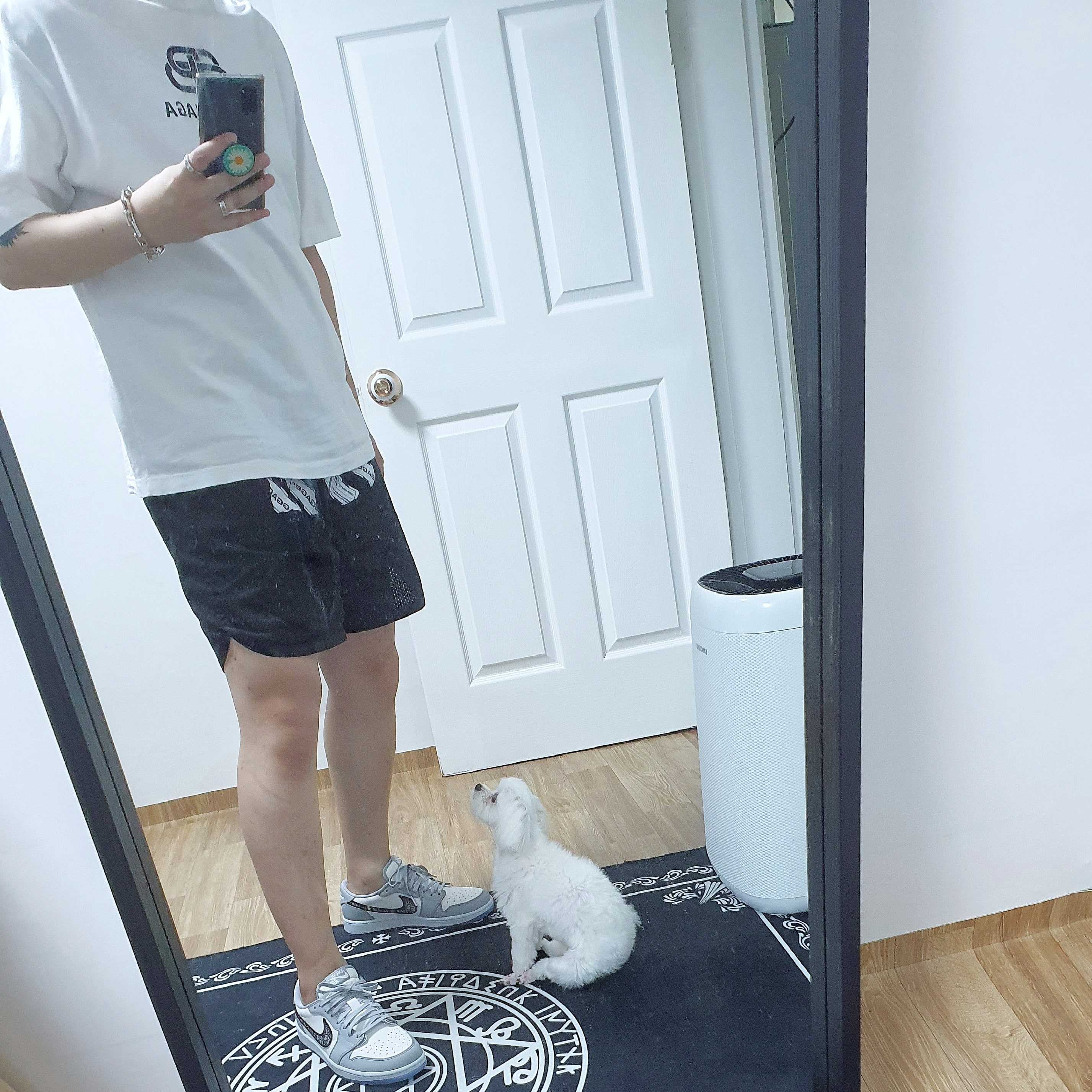 Jordan 1 x Dior Low OG 착용 스타일