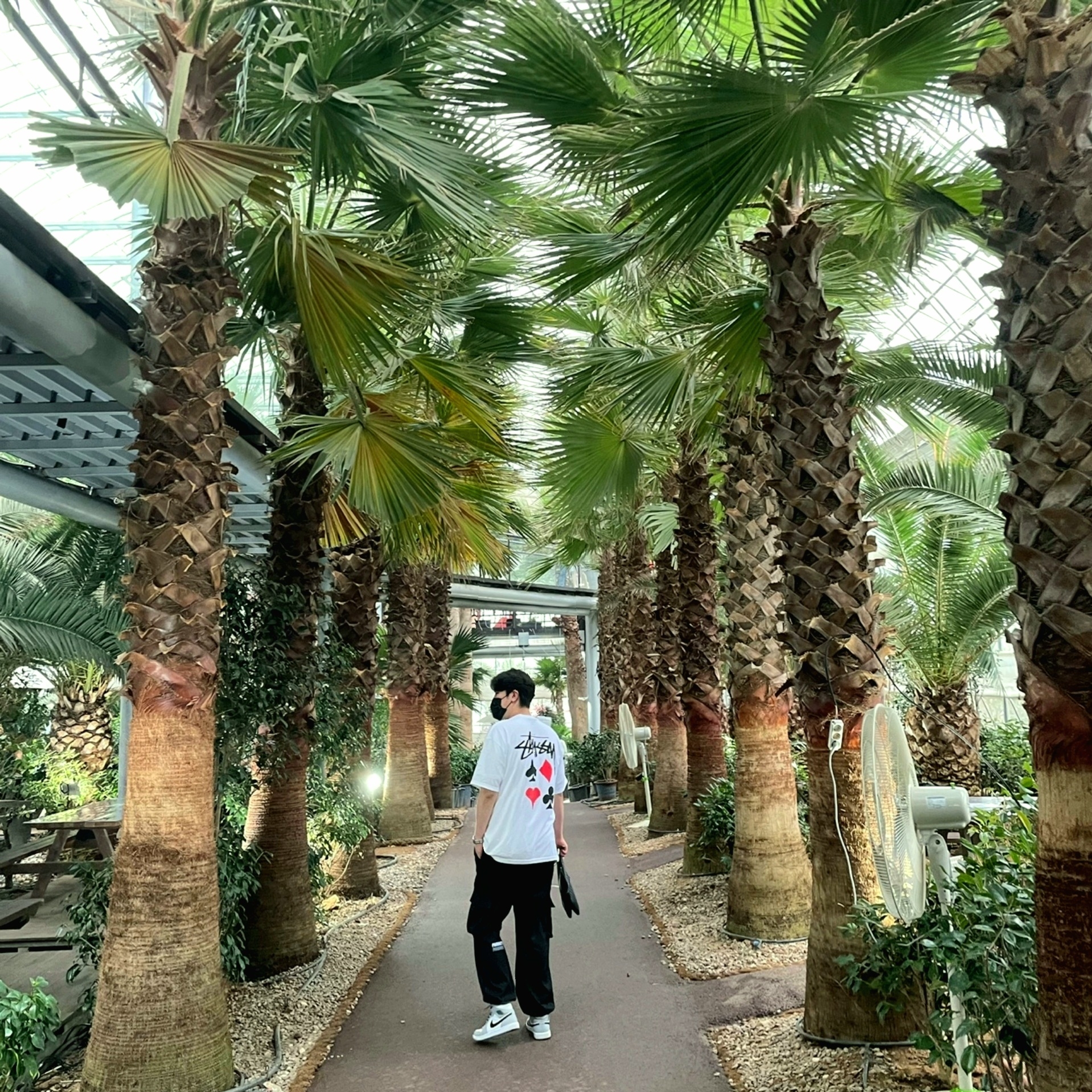 Jordan 1 Mid Light Smoke Grey, Stussy Full Deck 2 T-Shirt White 착용 스타일