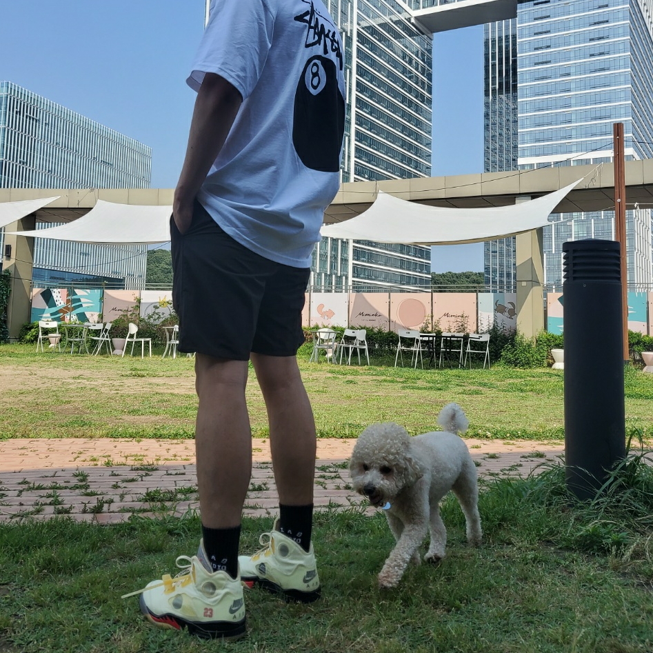 Stussy 8 Ball T-Shirt White - 21SS, IAB Studio Lime Black White Socks (3 Pack) 착용 스타일