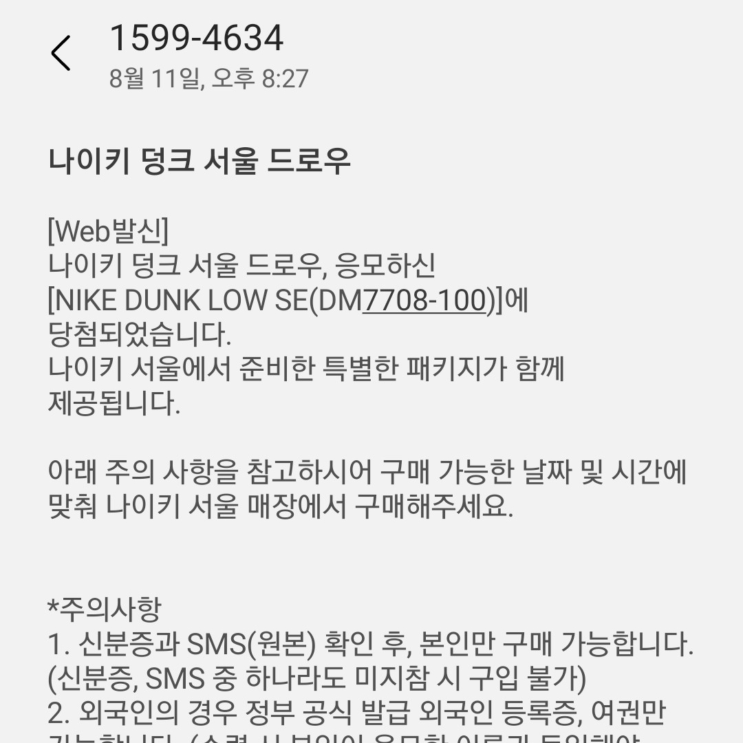 Nike Dunk Low SE Seoul (With Special Gift) 착용 스타일 - 3