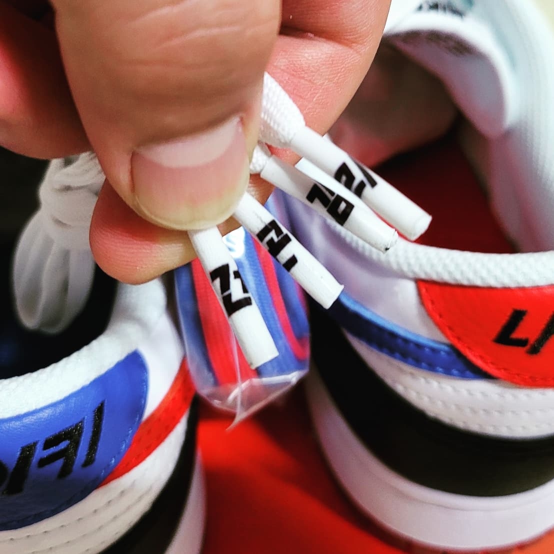 Nike Dunk Low SE Seoul 착용 스타일 - 4