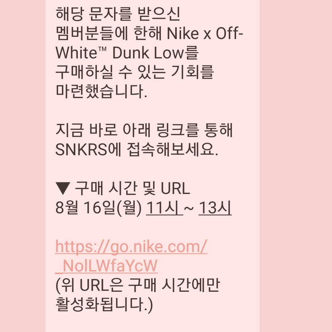 Nike x Off-White Dunk Low The 50 - Lot 18 착용 스타일