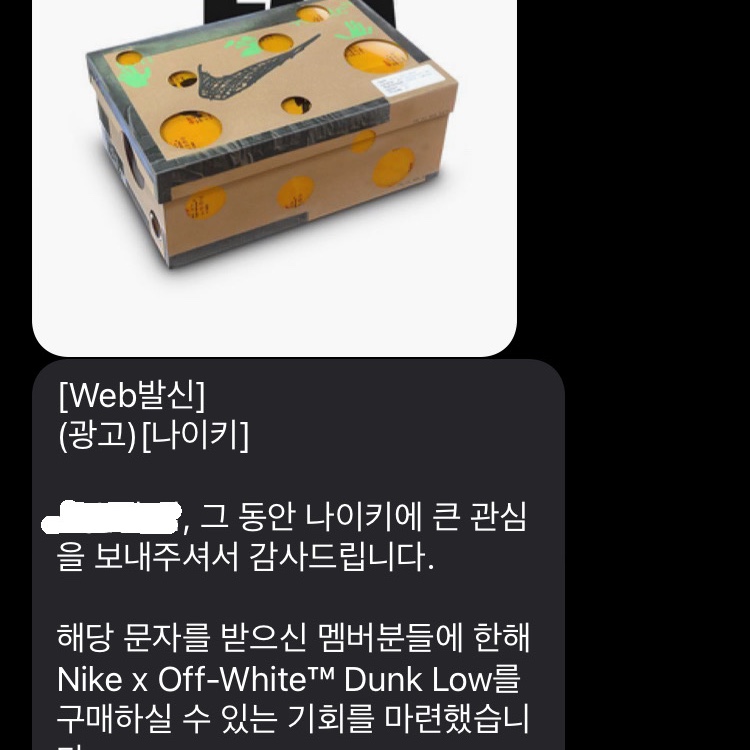 빠식촌님의 스타일
