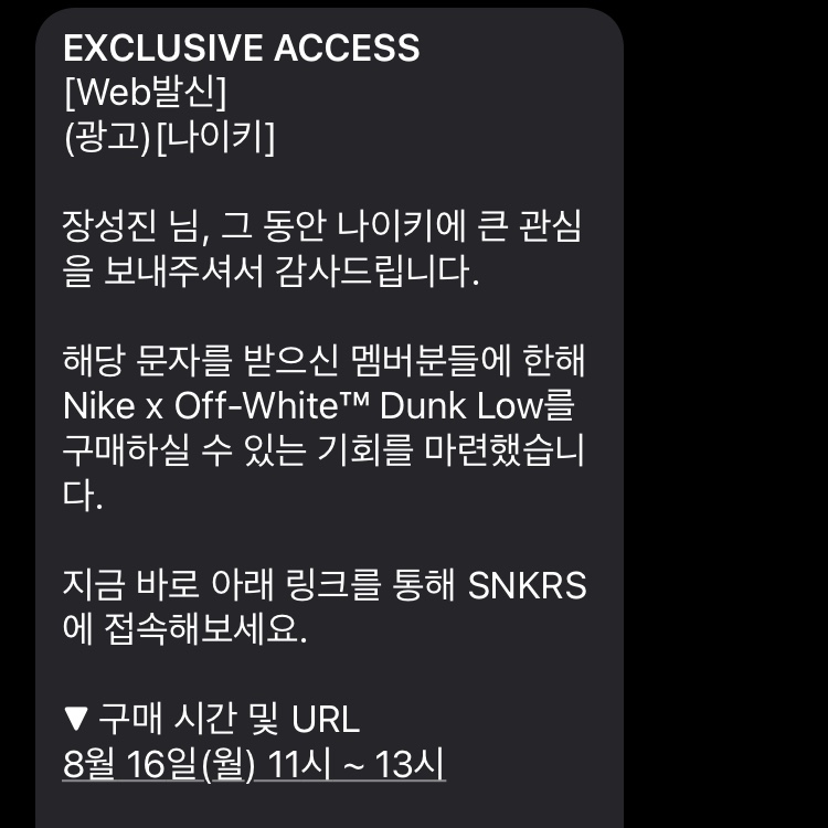 Nike x Off-White Dunk Low The 50 - Lot 18 착용 스타일