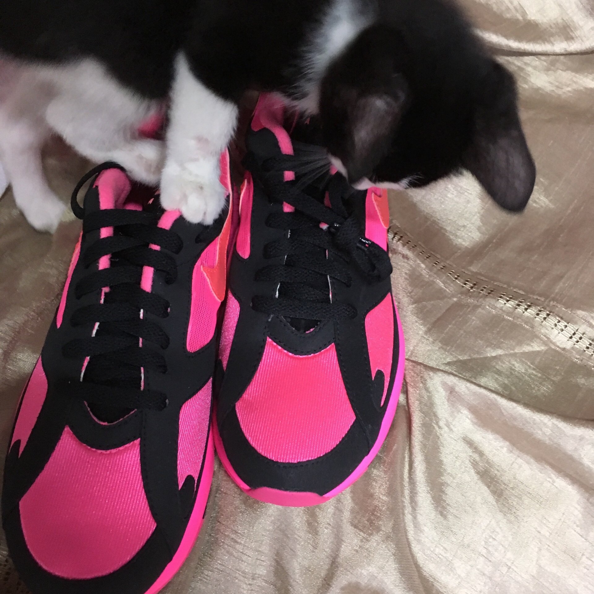 Nike x Comme des Garcons Homme Plus Air Max 180 Black 착용 스타일 - 2