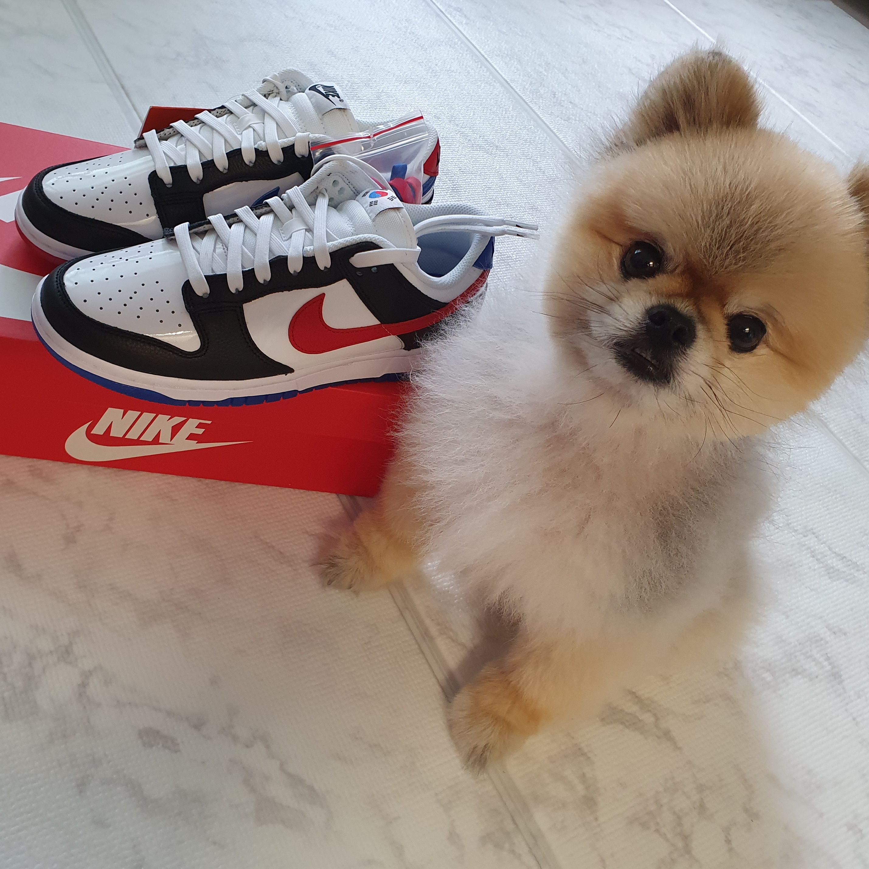 Nike Dunk Low SE Seoul 착용 스타일