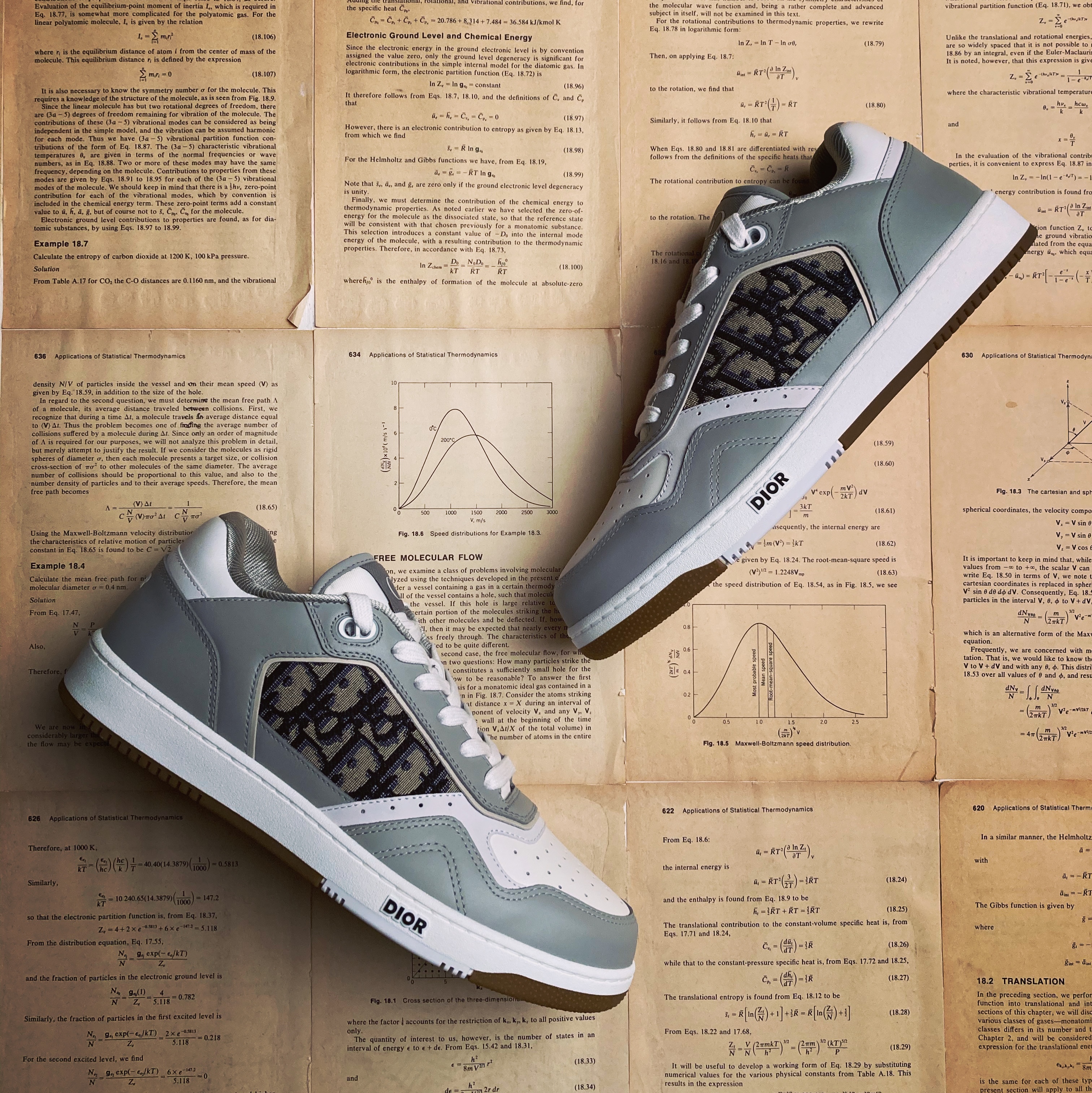 Dior B27 Low-Top Sneakers Gray 착용 스타일