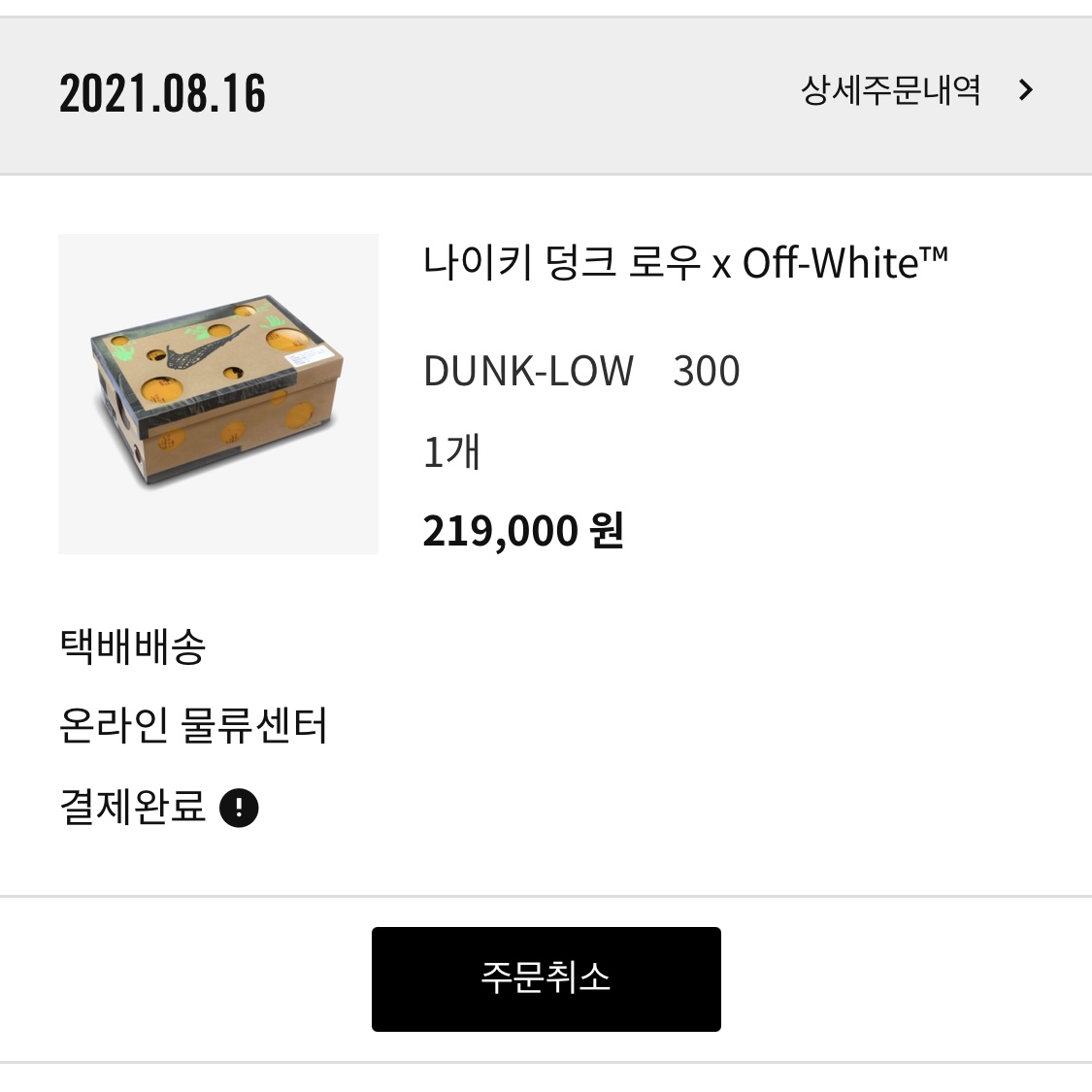 Nike x Off-White Dunk Low The 50 - Lot 46 착용 스타일