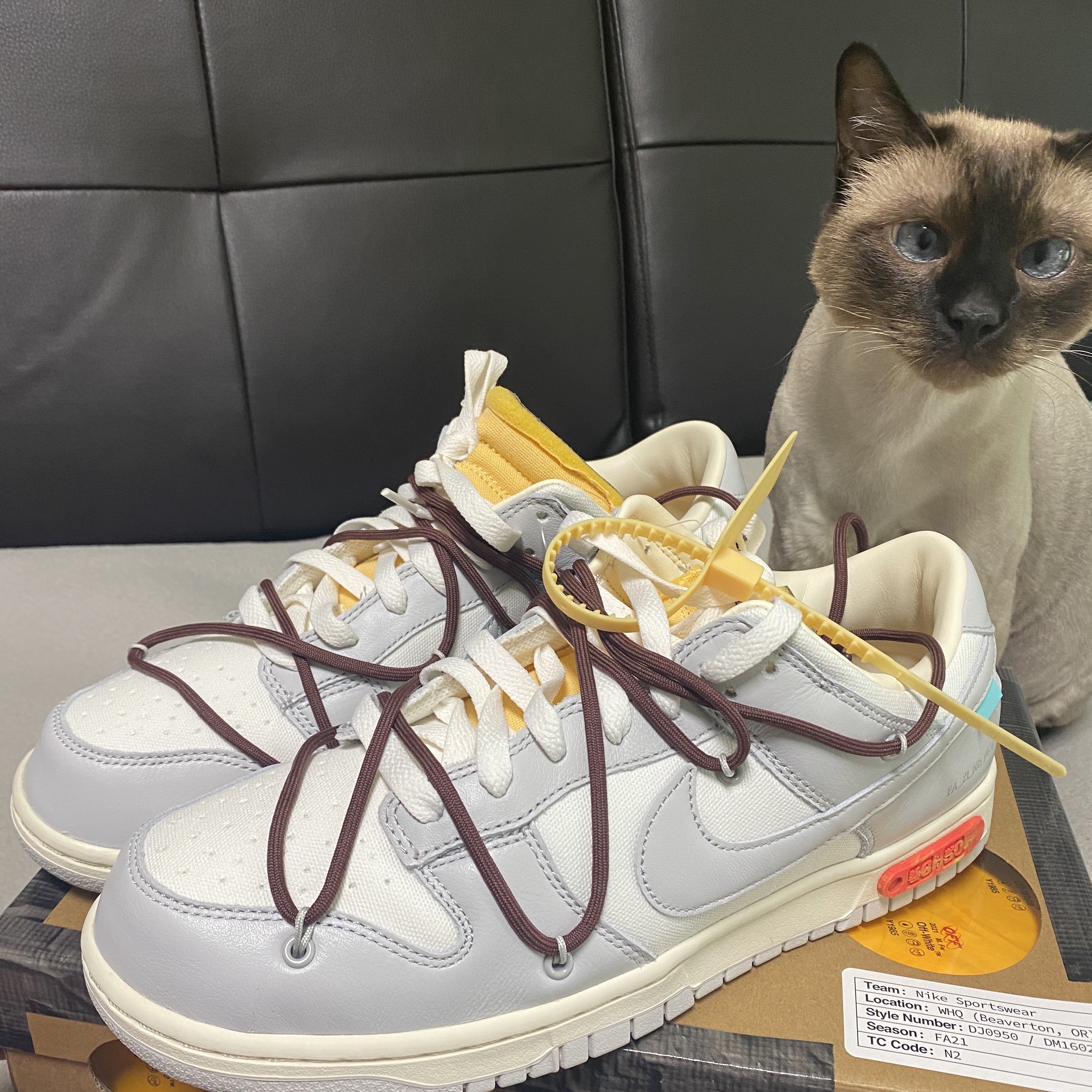 Nike x Off-White Dunk Low The 50 - Lot 46 착용 스타일