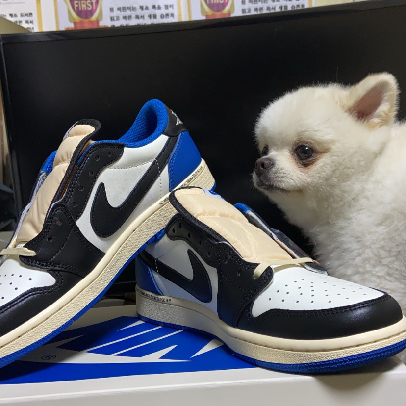 Jordan 1 x Travis Scott x Fragment Retro Low OG SP Military Blue 착용 스타일
