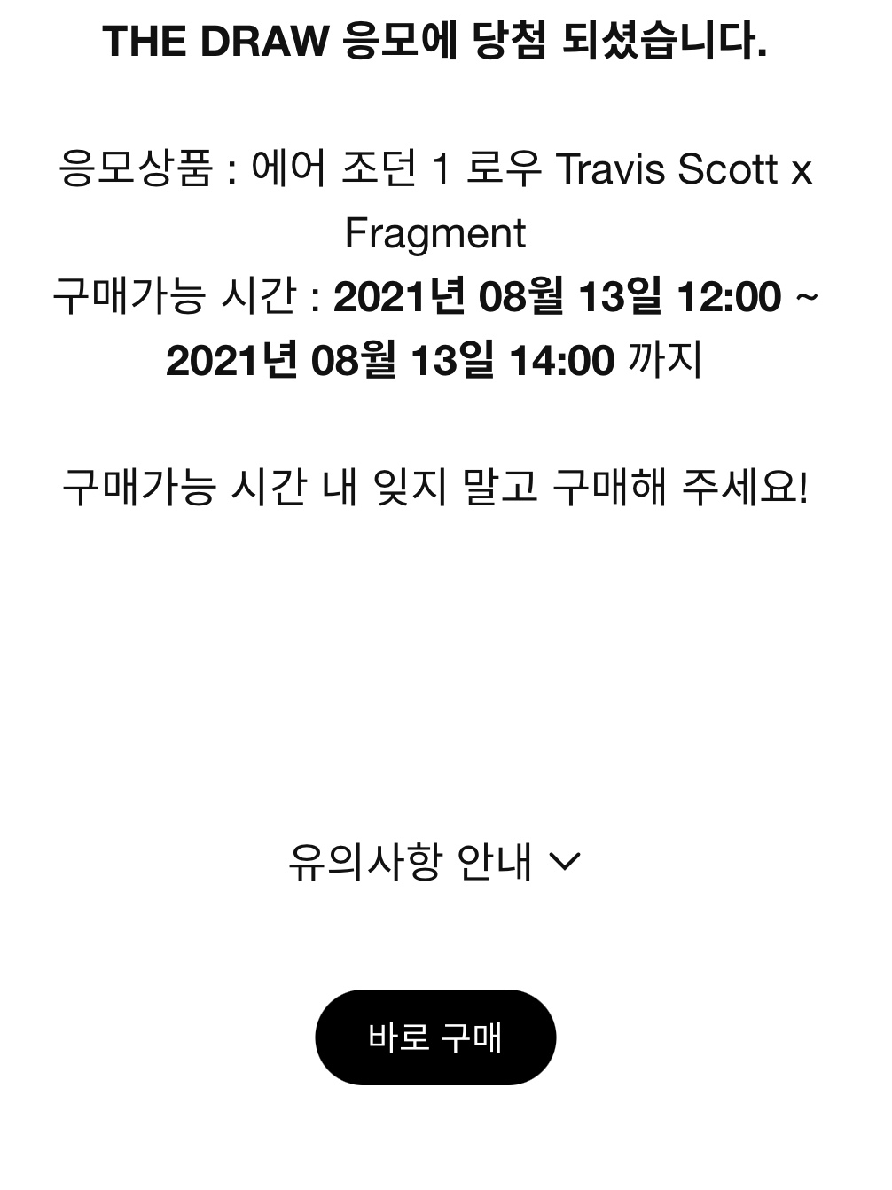 Jordan 1 x Travis Scott x Fragment Retro Low OG SP Military Blue 착용 스타일 - 4