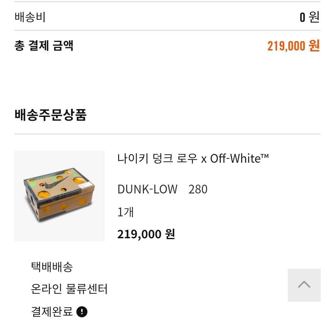 Nike x Off-White Dunk Low The 50 - Lot 46 착용 스타일 - 3