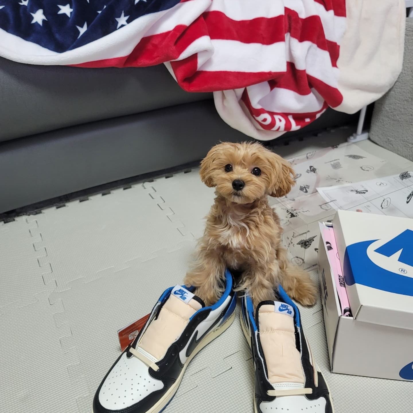 Jordan 1 x Travis Scott x Fragment Retro Low OG SP Military Blue 착용 스타일