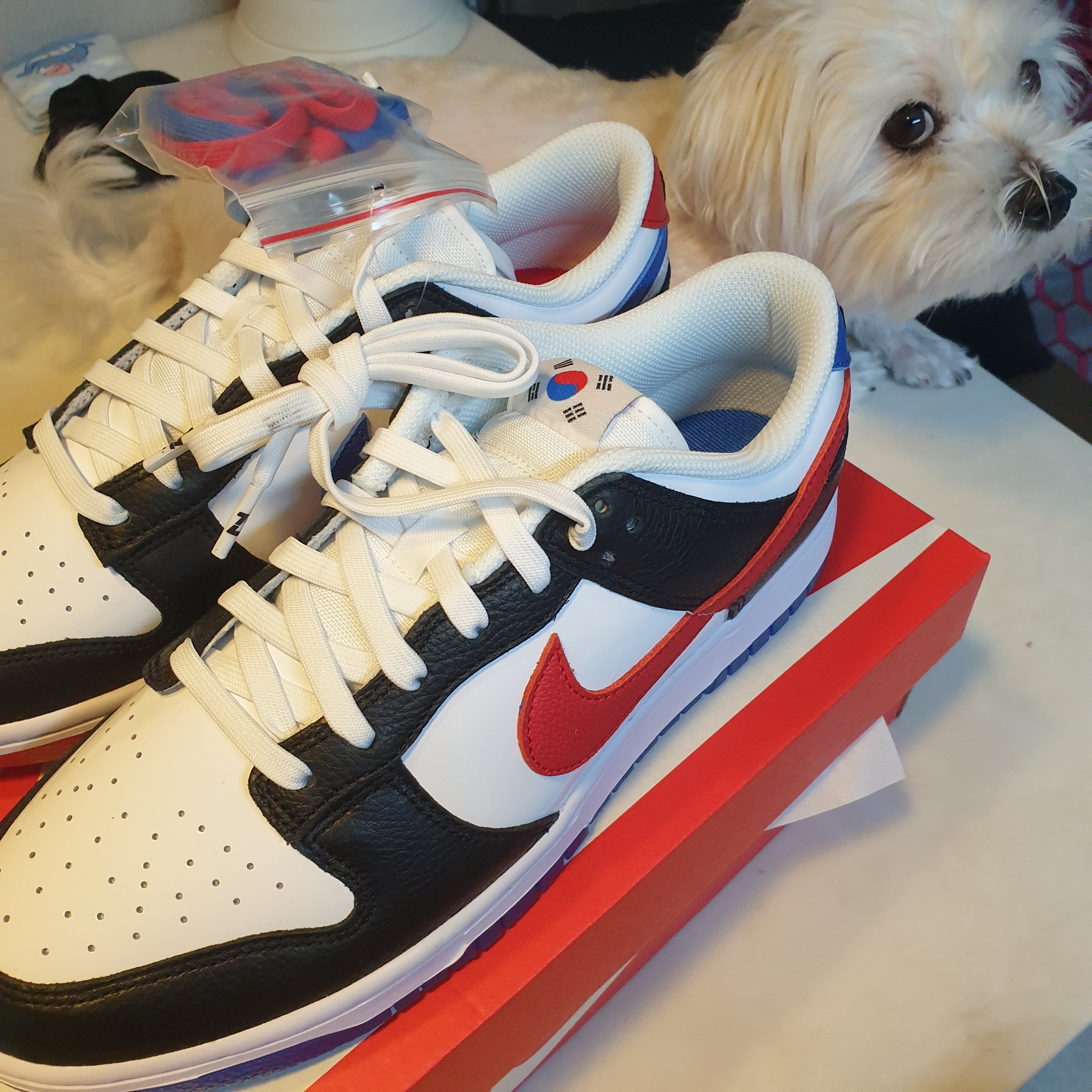 Nike Dunk Low SE Seoul 착용 스타일 - 3
