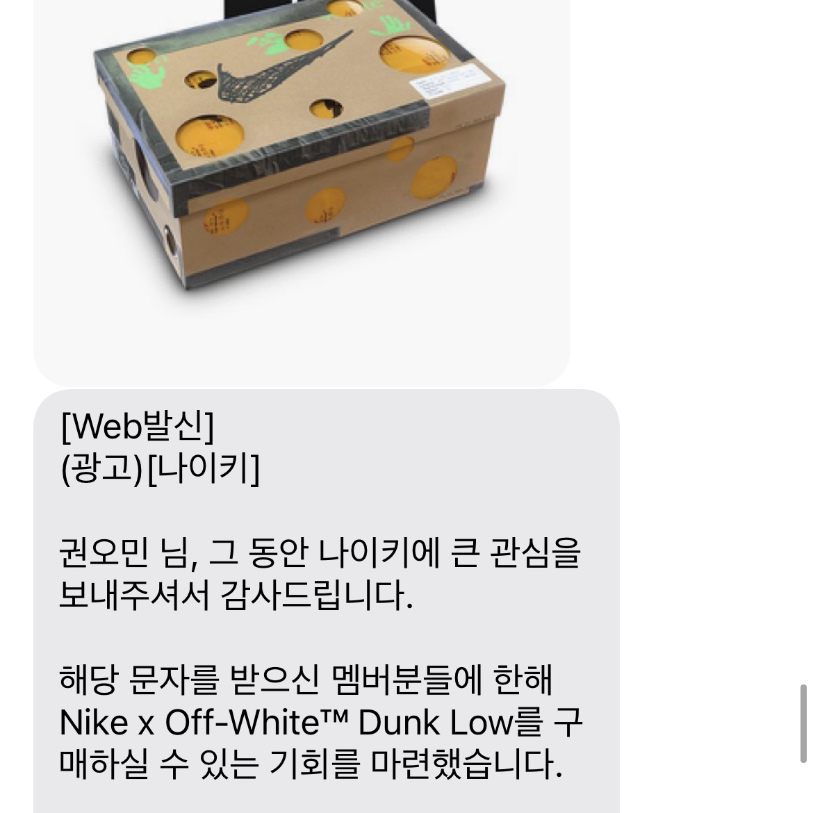 Nike x Off-White Dunk Low The 50 - Lot 46 착용 스타일 - 2