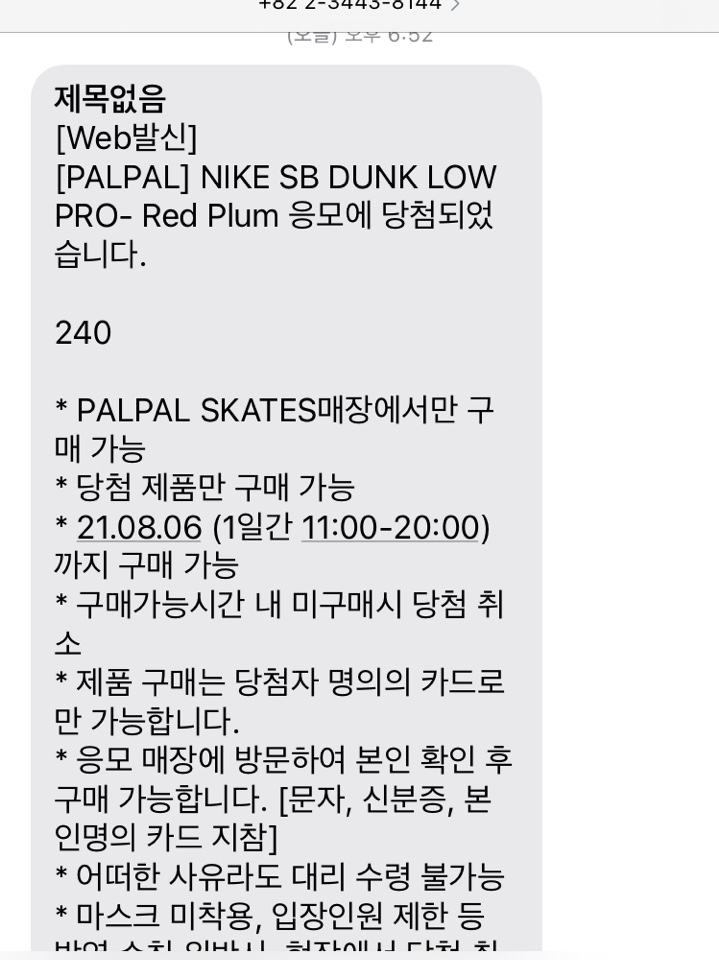 Nike SB Dunk Low Pro Red Plum 착용 스타일 - 2