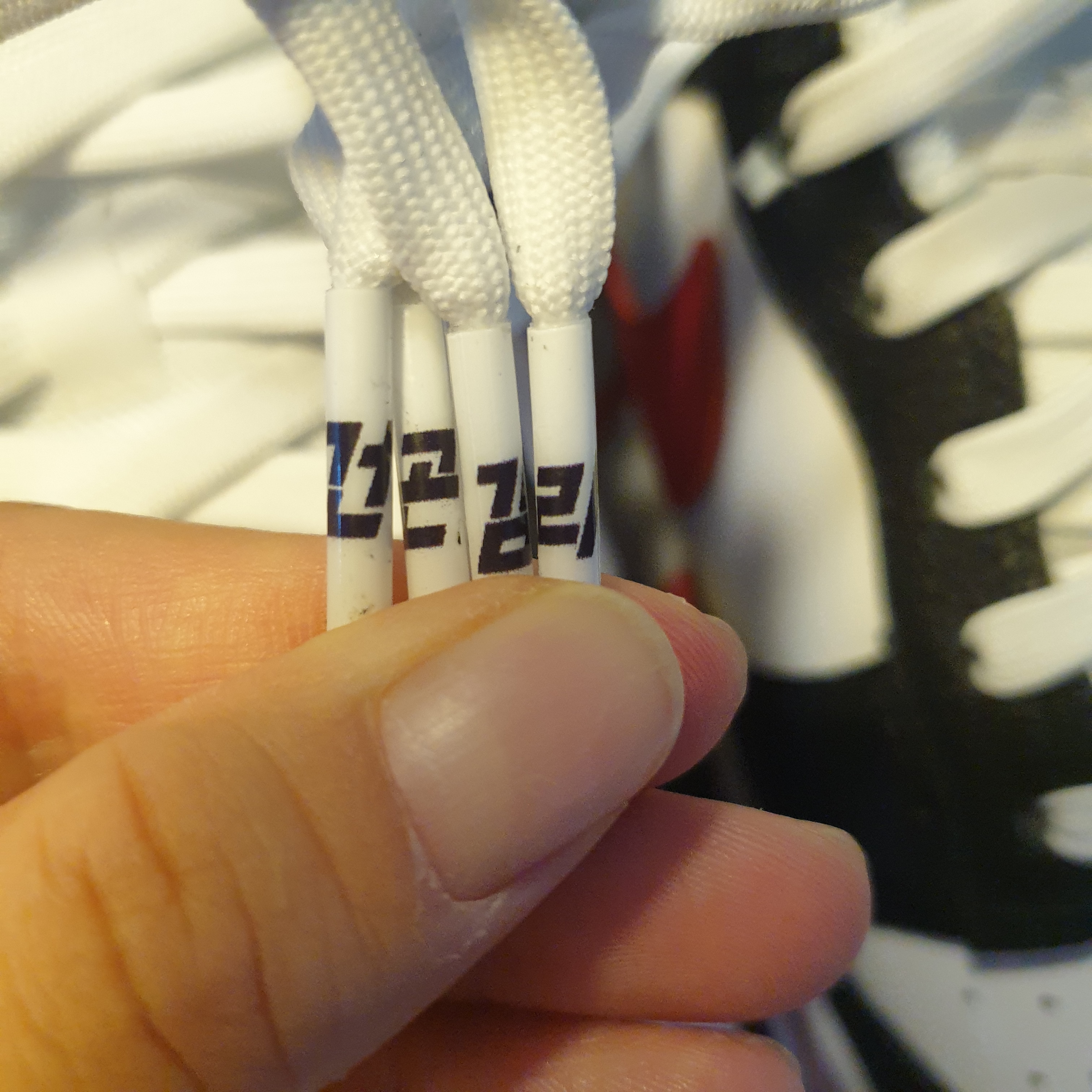 Nike Dunk Low SE Seoul 착용 스타일 - 2