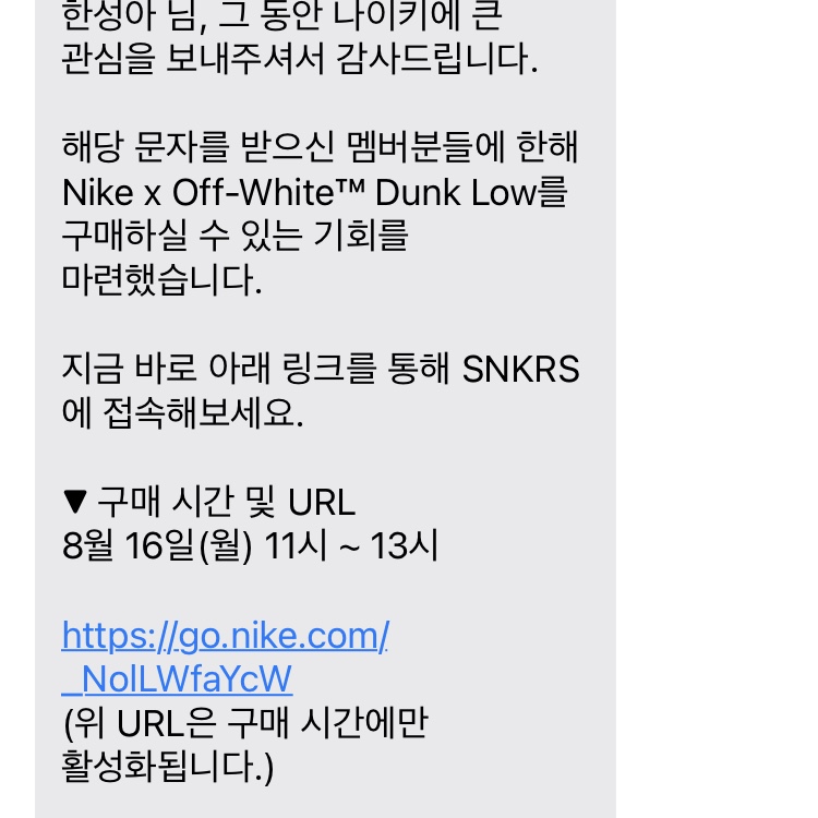 Nike x Off-White Dunk Low The 50 - Lot 46 착용 스타일