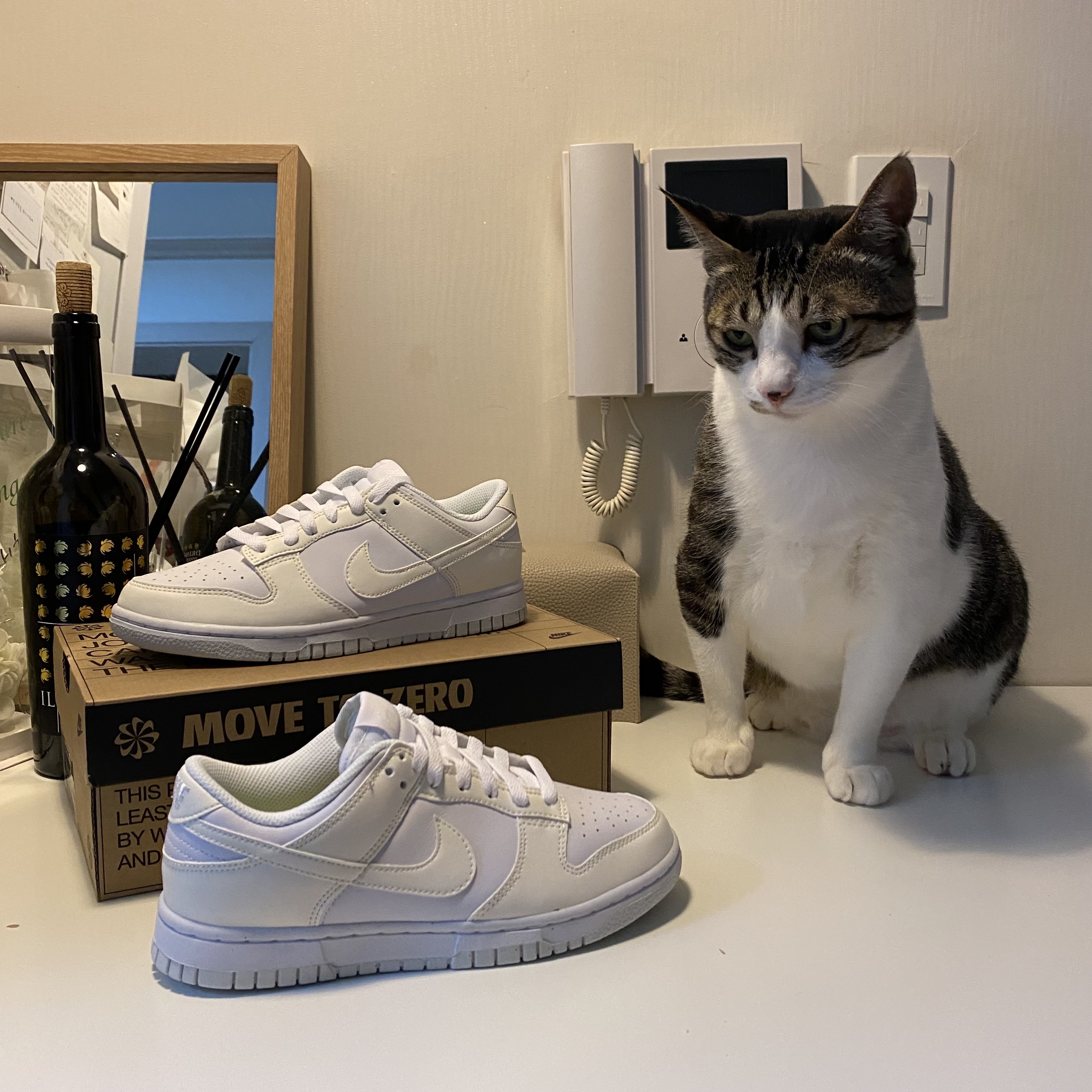 (W) Nike Dunk Low Next Nature Sail 착용 스타일 - 2