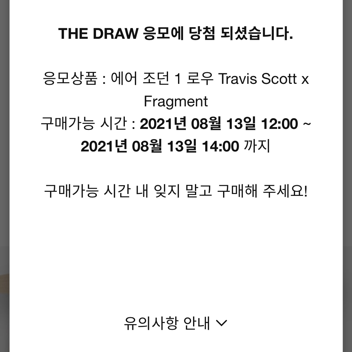 Jordan 1 x Travis Scott x Fragment Retro Low OG SP Military Blue 착용 스타일 - 4