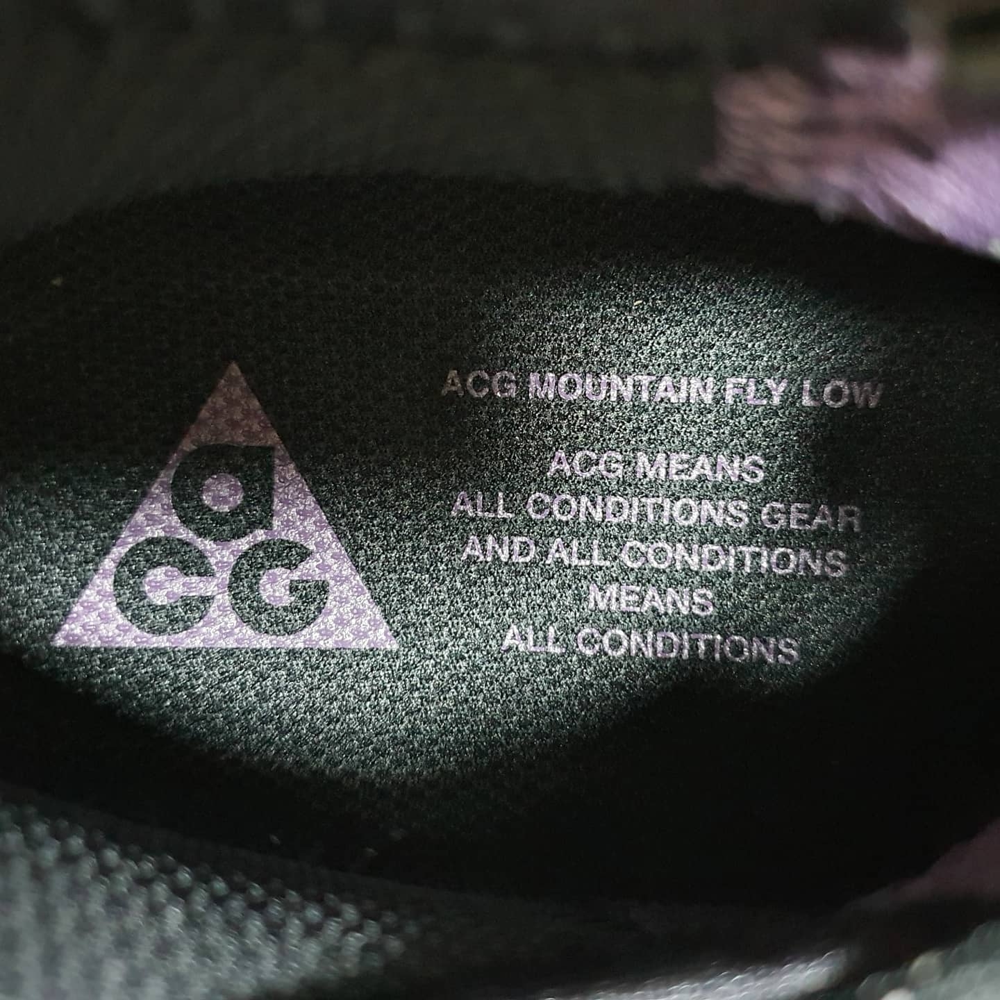 Nike ACG Mountain Fly Low Brown Basalt 착용 스타일 - 1