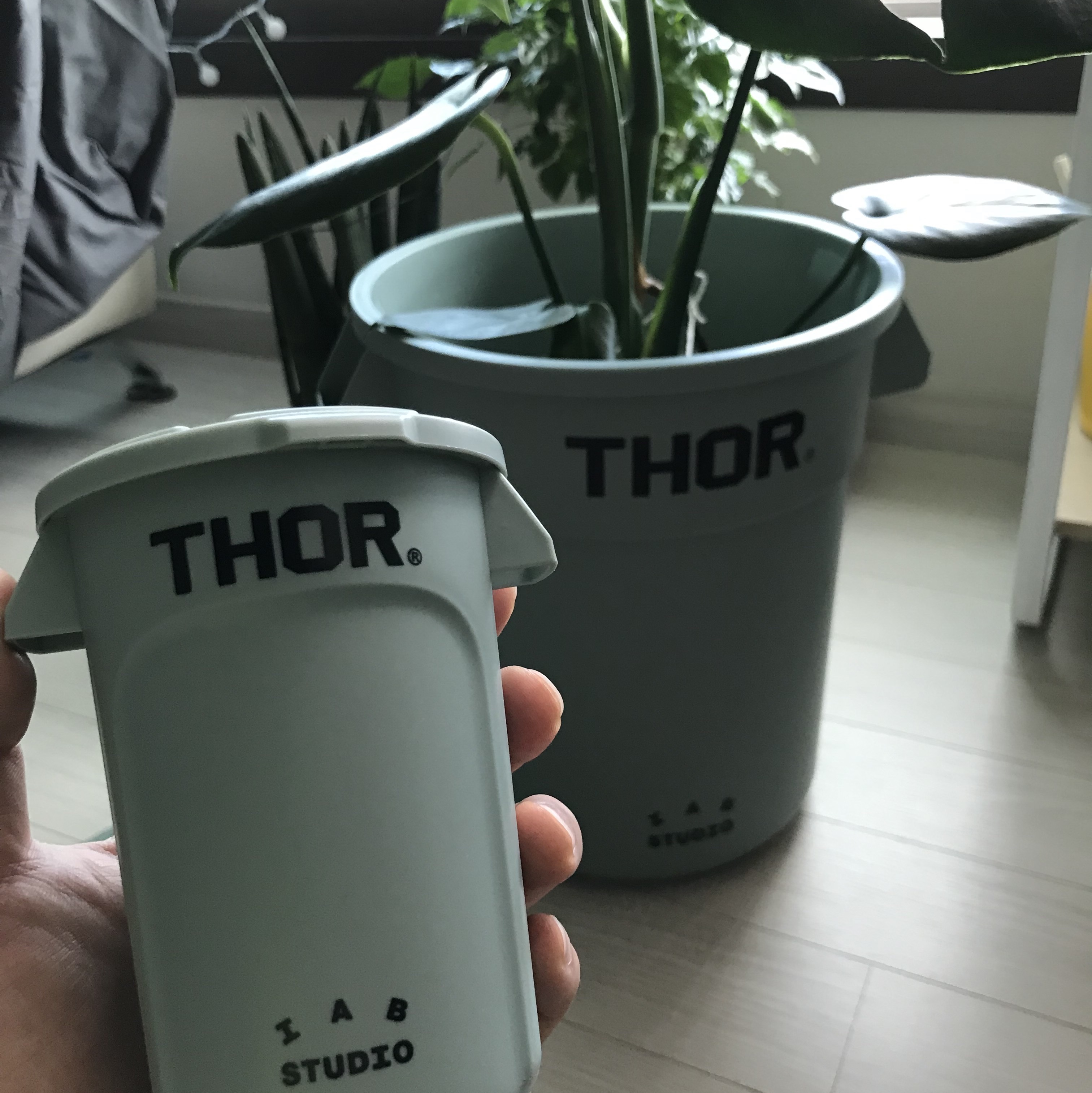 IAB Studio x Thor Round Container Ash Green (12L & Mini) 착용 스타일