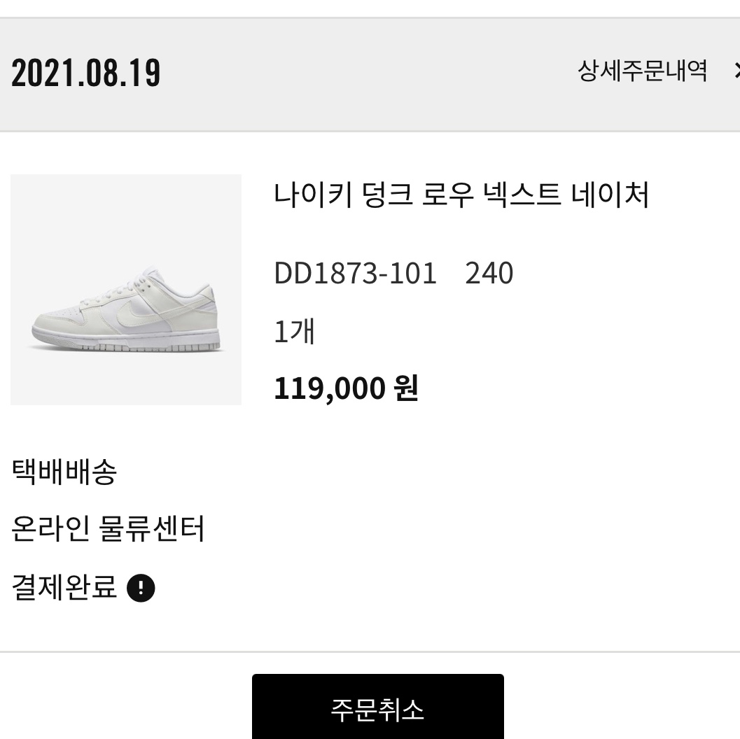 (W) Nike Dunk Low Next Nature Sail 착용 스타일