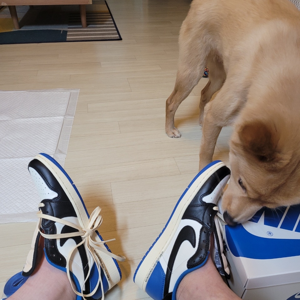 Jordan 1 x Travis Scott x Fragment Retro Low OG SP Military Blue 착용 스타일